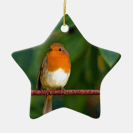 Kerst Robin Keramisch Ornament