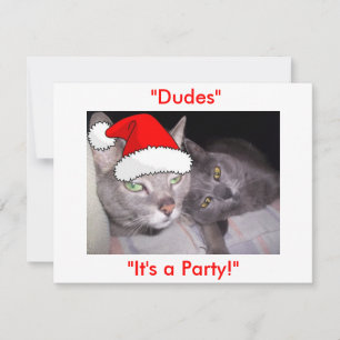 Kerst Russische Blauwe Grijze Katten Feestdagenkaart