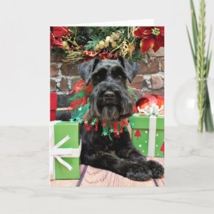 Kerst - Schnauzer - Fergie Feestdagen Kaart
