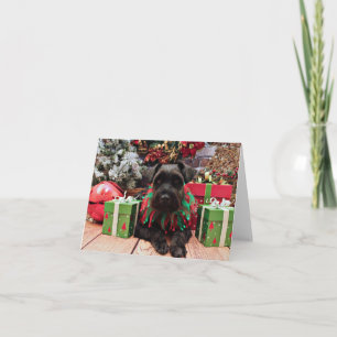 Kerst - Schnauzer Mix - Bentley Feestdagen Kaart