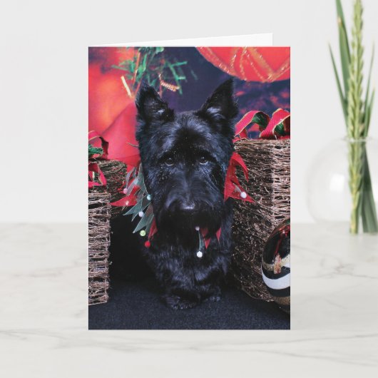 Kerst - Scottie - Paisley Feestdagen Kaart (Voorkant)