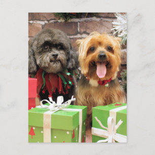Kerst - Shih Tzu X Maggie - Yorkie Pixie Feestdagenkaart