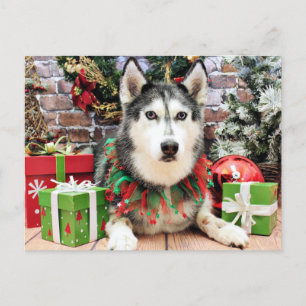 Kerst - Siberische Husky - Nika Feestdagenkaart