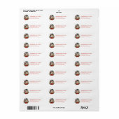 Kerst Sneeuwbol Retouradreslabels Etiket (Full Sheet)