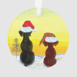 kerst springador ornament