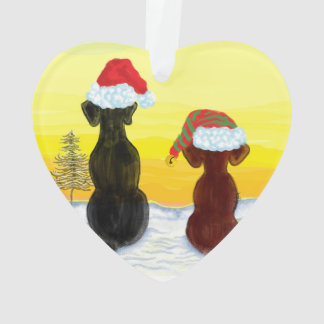 kerst springador ornament