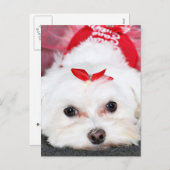 Kerst - Tinkerbell - Maltees Feestdagenkaart (Voorkant / Achterkant)