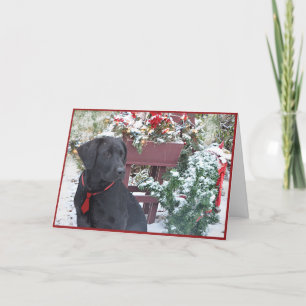 Kerst/vakantie Kaart ~ Labrador