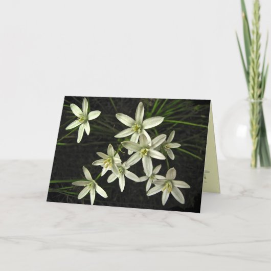 Kerst van Bethlehem Feestdagen Kaart (Voorkant)