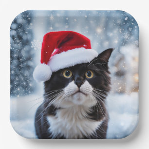 Kerst van de zwarte en witte kat papieren bordje