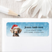 Kerst Weimaraner Dog Return Adreslabels Etiket (Insitu)