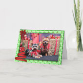 Kerst - Yorkshire Terrier - Chloe en Rocky Feestdagen Kaart (Voorkant)
