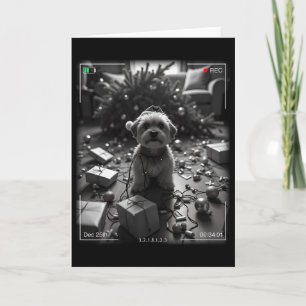 Kerst Yorkshire Terrier Vangen Op Camera  Kaart