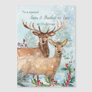 Kerst, zuster en broer in wettelijke magnetische k