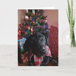 Kerst - Zwart Lab Kaart