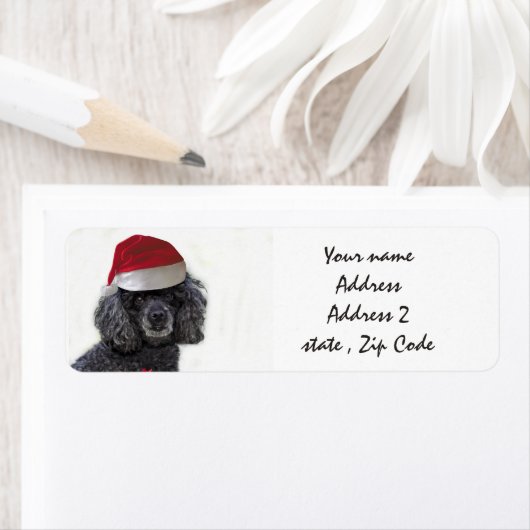 Kerst zwart Poodle Adresetiketten Etiket (Insitu)