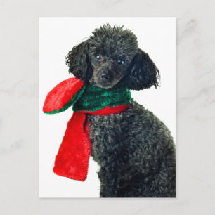 Kerst Zwart Speelgoed Poodle Dog Rendier Rode sjaa Feestdagenkaart