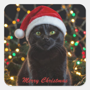 Kerst Zwarte Kat - Santa Hat Gepersonaliseerde fot Vierkante Sticker