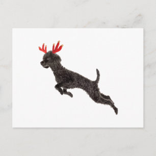 Kerst Zwarte Speelgoed Poedel Hond Rendier Antlers Feestdagenkaart