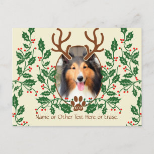 KerstAntlers voor honden/katten - Persoonlijke fot Feestdagenkaart