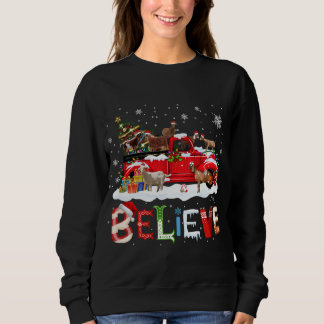 Kerstaven van de rode vrachtwagen geloven dat de k trui