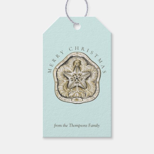 Kerstavond en dollar Turquoise Coastal Cadeaulabel (Voorkant)