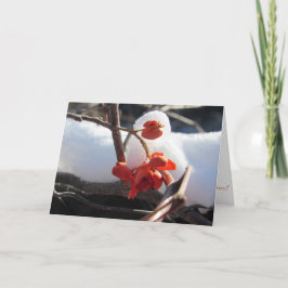 Kerstavond Kaart "Serenity of Hibernance"