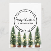 Kerstavond Vakantie Winter Menu Licht Groen Wit (Voorkant)