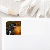 Kerstaxkeeradres Cocker Etiket (Insitu)