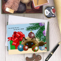 Kerstbal Siamese Kat Grappig