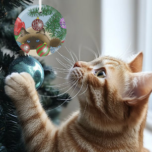 Kerstbalornament Siamese Kat Grappig Glas Ornament