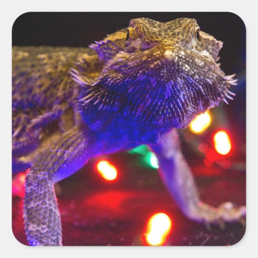 Kerstbeardie Vierkante Sticker (Voorkant)