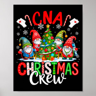 Kerstbemanning Cna Groep Kabouters Verpleegsters V Poster