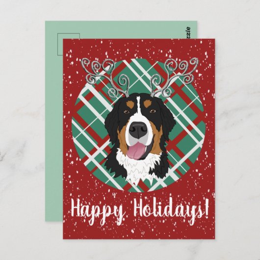KerstBernese Mountain Dog Briefkaart (Voorkant / Achterkant)