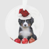 KerstBernese Mountain Dog Ornament (voorkant)