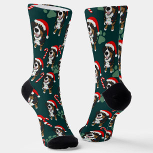 KerstBernese Mountain Dog Sokken