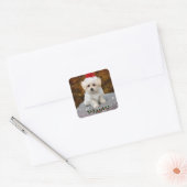 kerstblad voor Maltese stickers (Envelop)