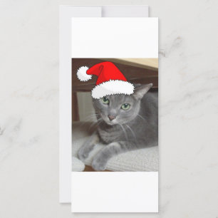 Kerstblauw, grijs