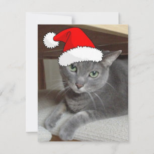 Kerstblauw, grijs feestdagenkaart