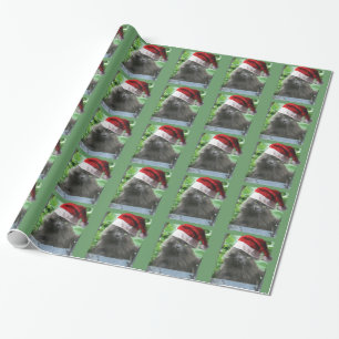 Kerstblauw, langharige kat cadeaupapier