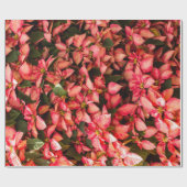 kerstbloem Poinsettia Cadeaupapier (Vlak)