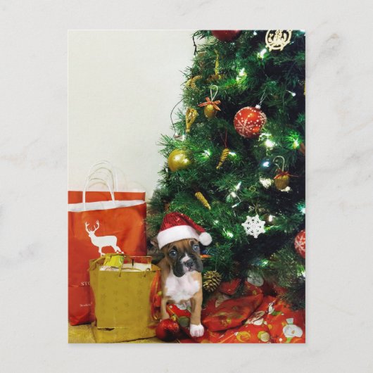 kerstbokspuppy feestdagenkaart (Voorkant)