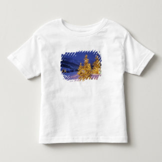 Kerstbomen, Park City, Wastch Mountains, Kinder Shirts