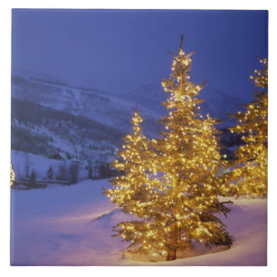 kerstbomen, Park City, Wastch Mountains, Tegeltje