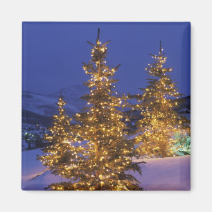 kerstbomen, Park City, Wastgebergte, 2 Magneet