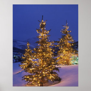 kerstbomen, Park City, Wastgebergte, 2 Poster