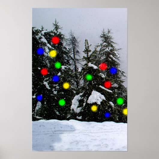 Kerstbomen Poster (Voorkant)