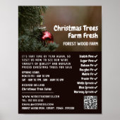 Kerstboom Bauble, kerstboomverkoop Poster (Voorkant)
