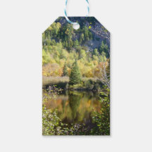 Kerstboom cadeaukaart