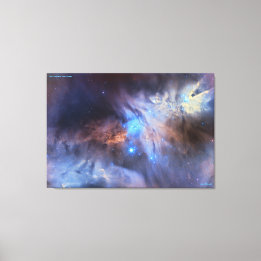 Kerstboom Cluster - Distinguished Canvas Afdruk